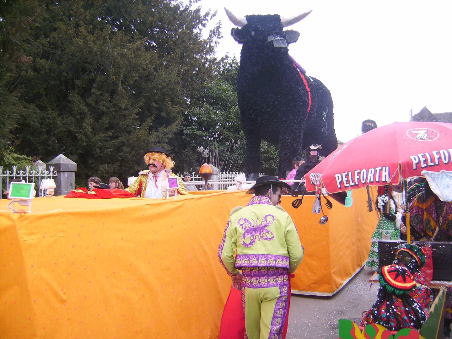 Carnaval de Geronce 2008 36