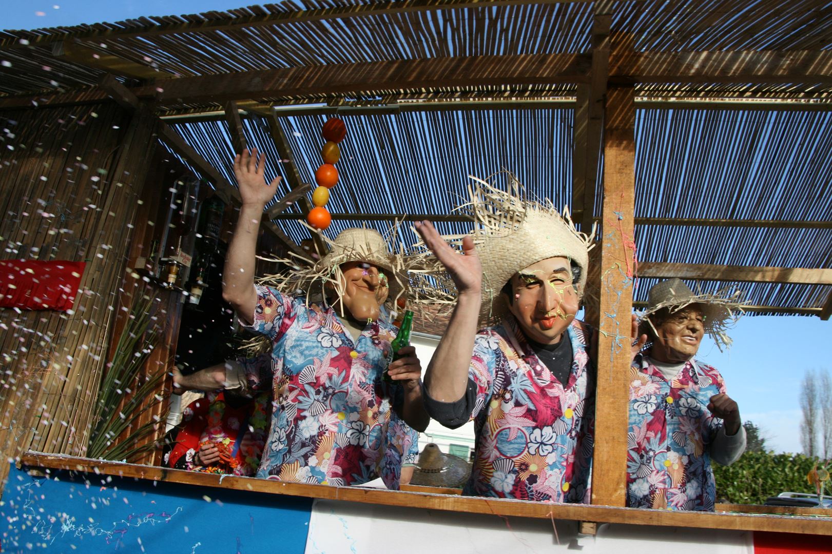 Carnaval de Geronce 2009 114