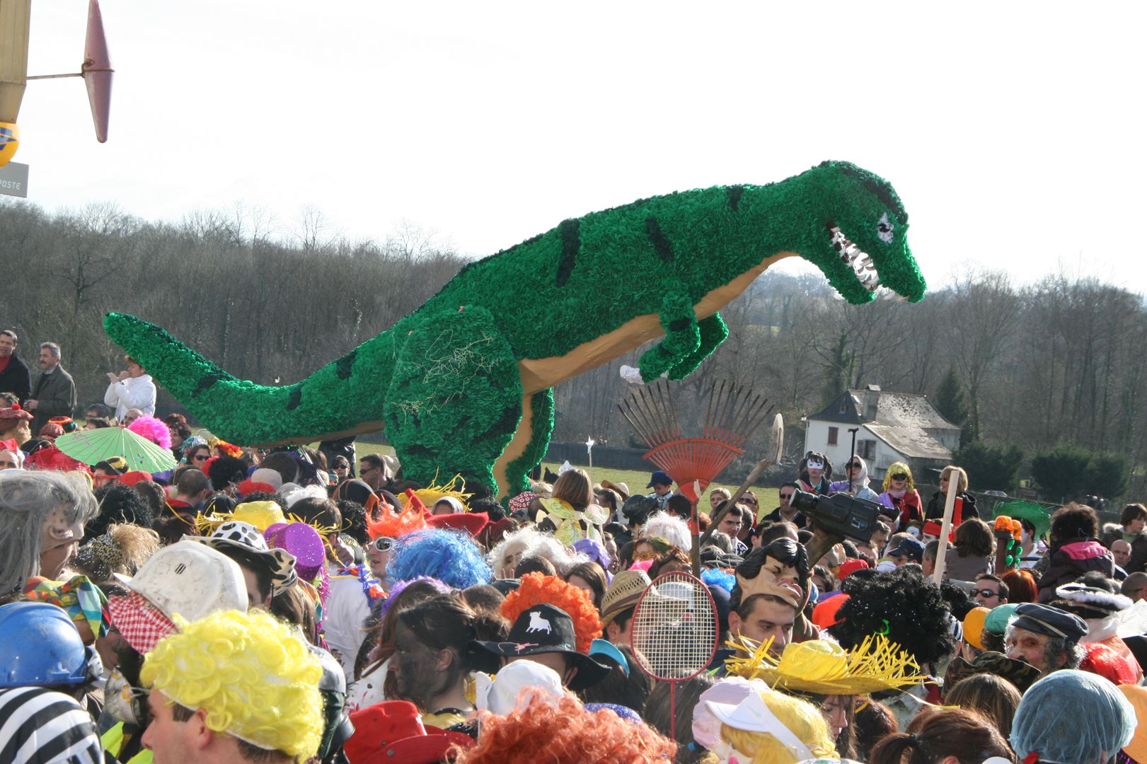Carnaval de Geronce 2009 81