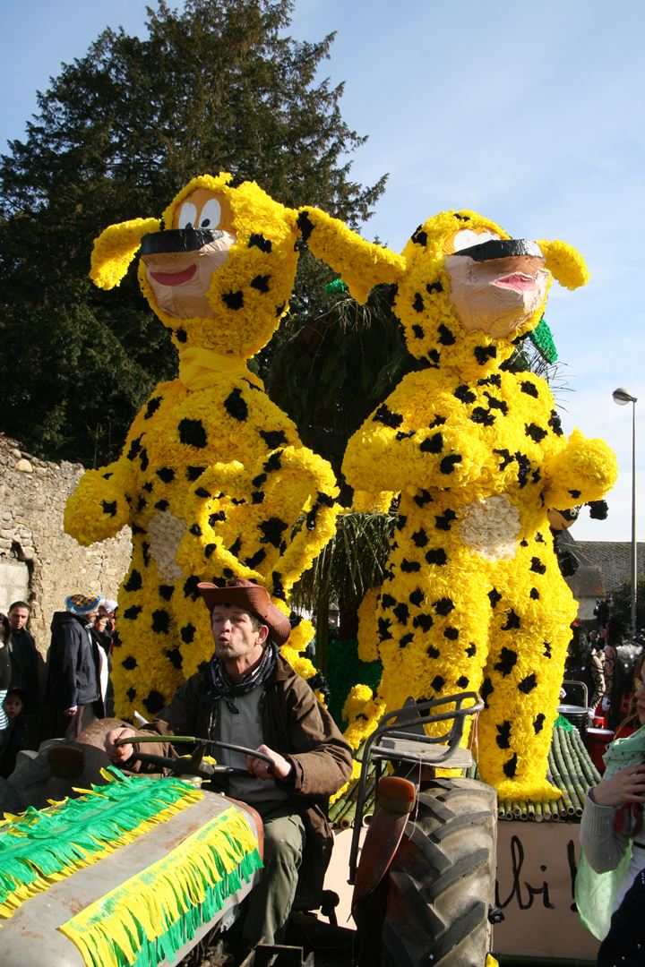 Carnaval de Geronce 2009 9